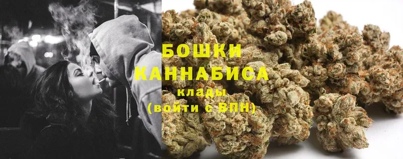 Конопля SATIVA & INDICA  Починок 